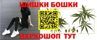 Альфа ПВП Будённовск