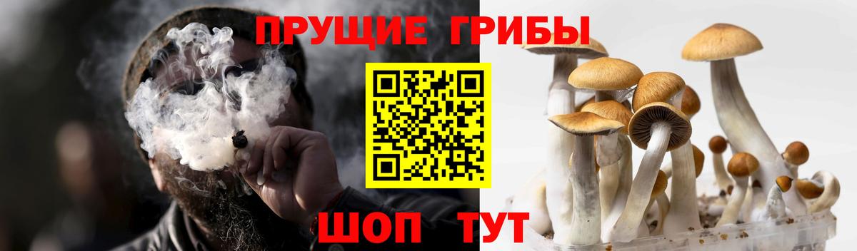 Псилоцибиновые грибы мухоморы Морозовск